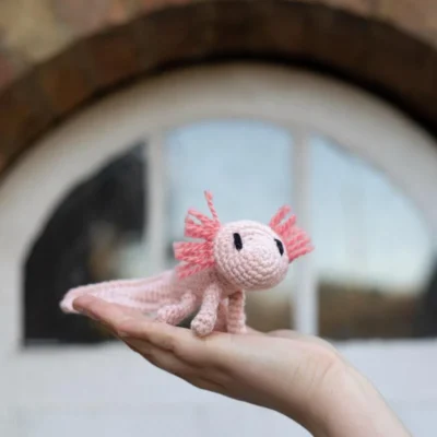 Danielle the Axolotl (Easy) - Mini Crochet Kit - Toft